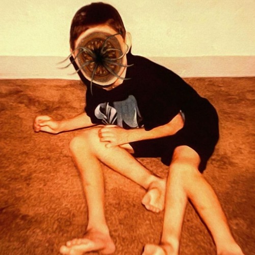 It Is Starting To Feel Normal Again