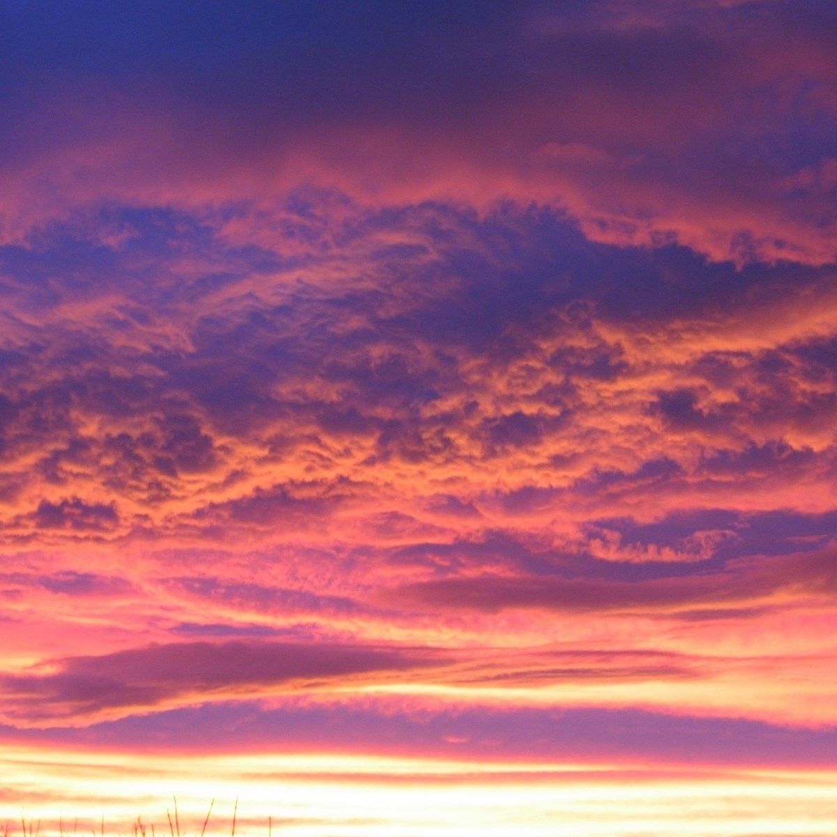 @กำลังฮิตในTIKTOK @เพลงตื๊ดที่วัยรุ่นชอบ!!  DJ Thai Beat Remix _ Tiktok Viral .m4a