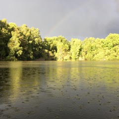 2020 - 06 - Sound Bath Drum And Gong