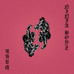 NINJA BOYZ / SUPER NERD