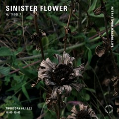 SINISTER FLOWER II.X // Treglia