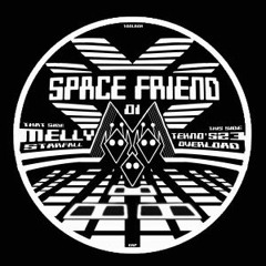 Vinyl_Spacefriend01
