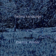 Electric Winter