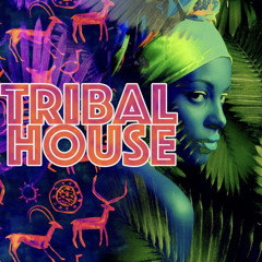 MOOD - TRIBAL HOUSE