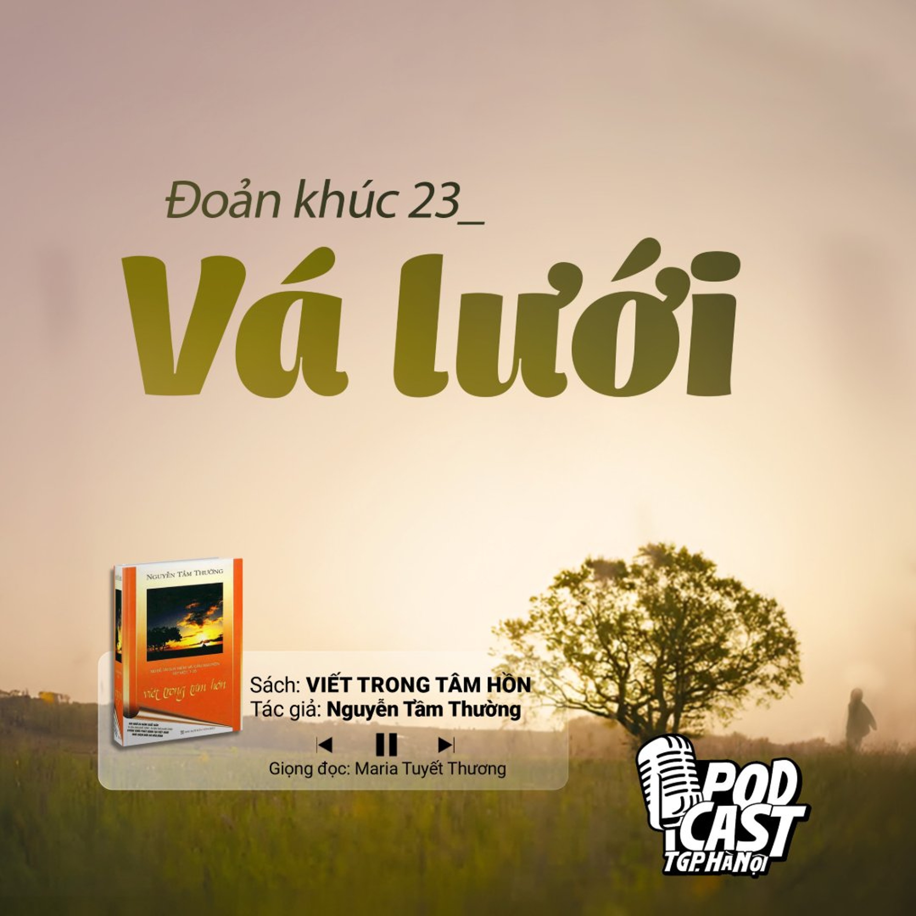 ĐK23: Vá lưới (Tg. Nguyễn Tầm Thường) || Viết trong tâm hồn episode artwork