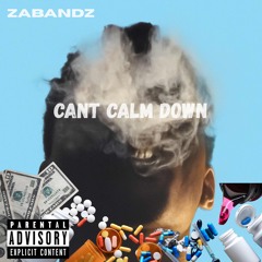 Can’t Calm Down
