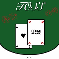 Pedro Delamigo - Toss (Radio Edit)