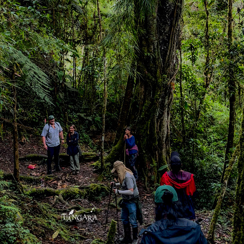 180425 / Play Flora / Nicolás, Katty Pablo, Helena, Joshua y Alexia / ANP PNYCH_Binaural