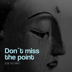 Jose Vizcaino - Don't Miss The Point (Original Mix)