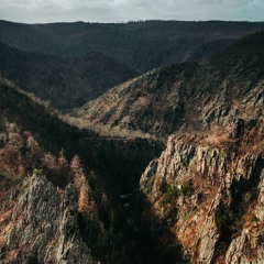 Break Free Trap Edm Type Beat