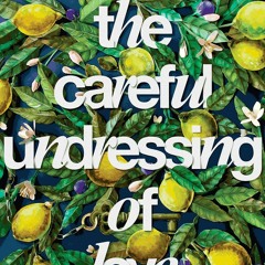 DOWNLOAD PDF The Careful Undressing of Love - Corey Ann Haydu (Author)