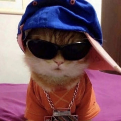 Nola mix 229(Put In Work)