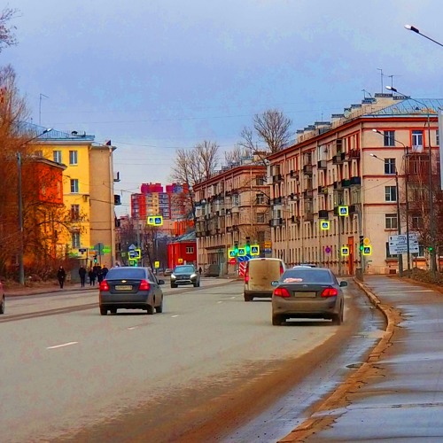 Novembercool 5