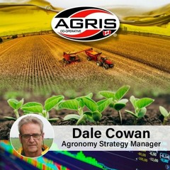 April 23, 2024 - Noon Agronomy Report