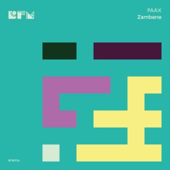 PAAX (Tulum) feat. Vukile - Zambane