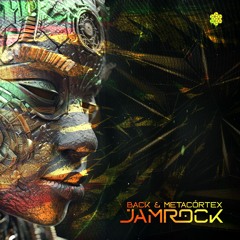 Back & Metacórtex - Jamrock (Original Mix) Out now -  @sonektarrecords
