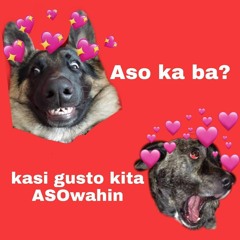 babyfreeze neo soul shi demo