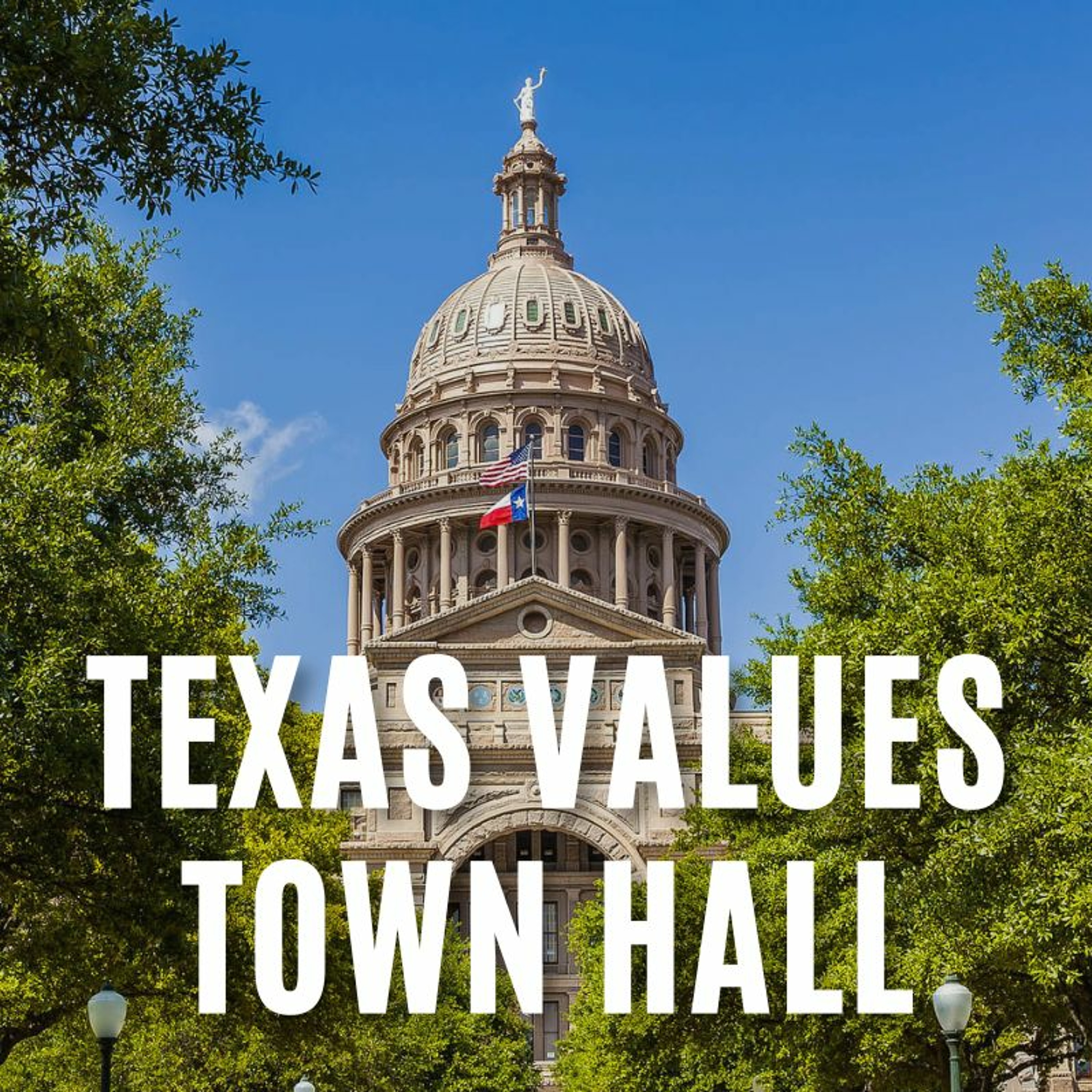 The Texas Values Report