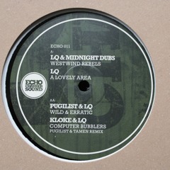 ECHO 011 - 180g 12 inch vinyl