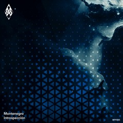 Montenegro - Repulse (Original Mix) [M99]