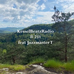 # 231 feat Jazzmaster T