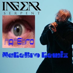 In Fear - Serpent (NaReBro Remix)