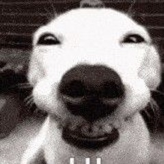 Song Lovejoy peace and happiness