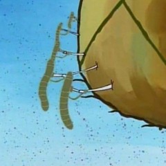 nematode 🍍