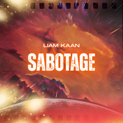 Sabotage (Original Mix)