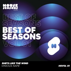 HSVA012022 / Vinicius Nape - She's Likes The Wind (Original Mix)
