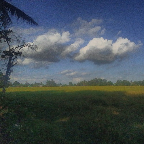 Hôm Nay Của Hồi Đó - Tài Lê ft.HyKhang