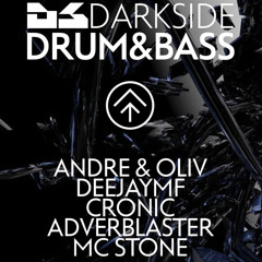 Cronic @ DARKSIDE Dachstock Bern 25.03.2023