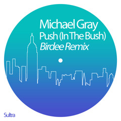 Push (In the Bush) (Birdee Remix)