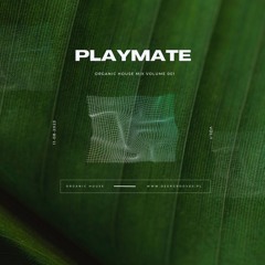 Organic House Afternoon Mix