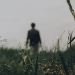 ‎أقولُ وداعًا | عمرو الديب