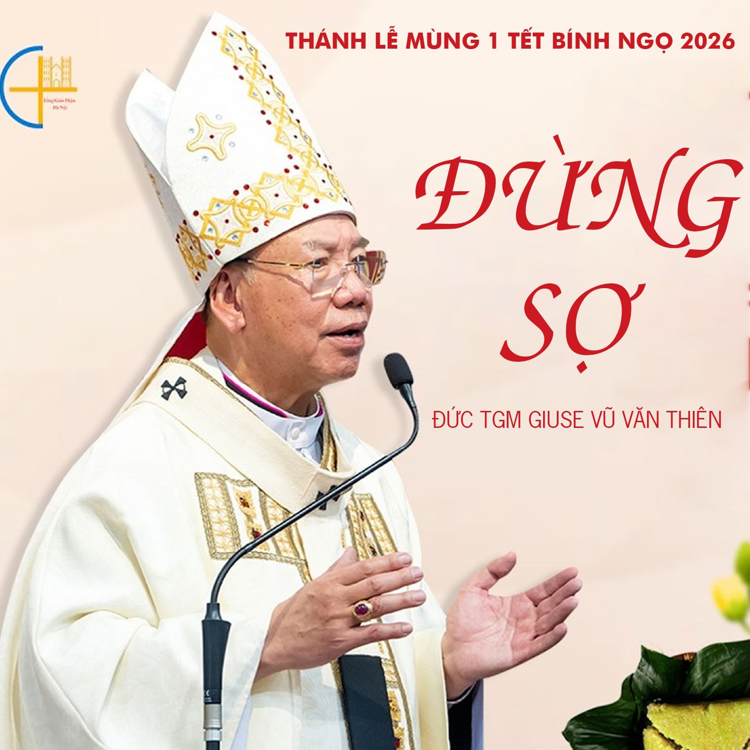 Đừng sợ || Bài giảng Thánh lễ Minh Niên Bính Ngọ 2026 || Đức TGM Giu-se Vũ Văn Thiên episode artwork