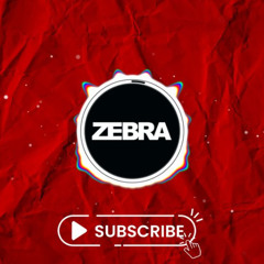 Zebra (POL) - Prowadź Mnie (Club Edit)