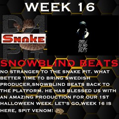 WEEK 16 BEAT DASNAKEPIT 2 -  SBB