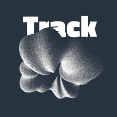 46 - Track