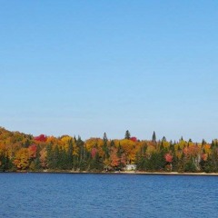 Montreal - Working Life