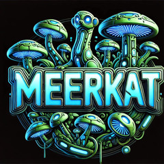 Meerkat @ United Tribes 2025
