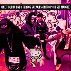 NIKE TIBURON DNB Remix (INTRO PICHI SET MADRID)
