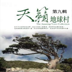 Miss Misery (悲傷小姐)