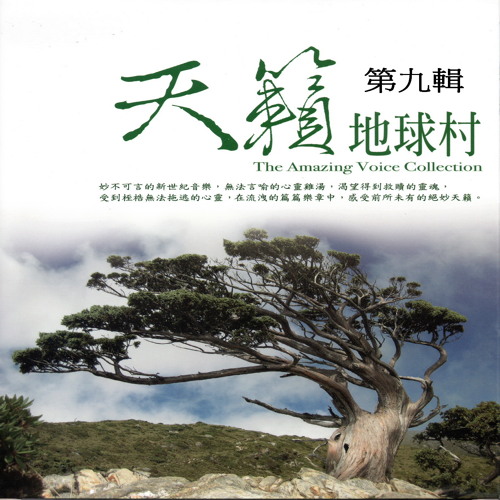 Miss Misery (悲傷小姐)