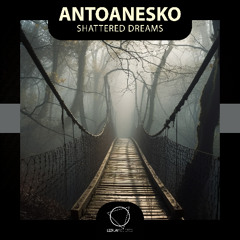 antoanesko - Shattered Dreams (Lizplay Records)