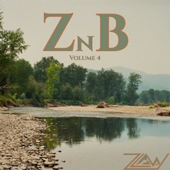ZnB (Vol. 4)