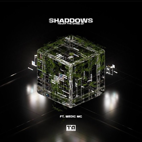 New DnB