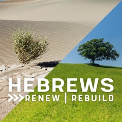 Hebrews - "Members of One Another" - August 22nd, 2021 (Doug Siggelkow)