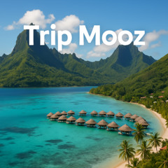 FALCROW - Trip Mooz 2025