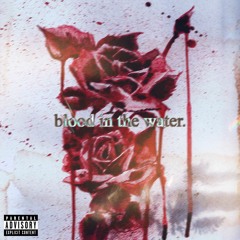 blood in the water (feat. jeo)